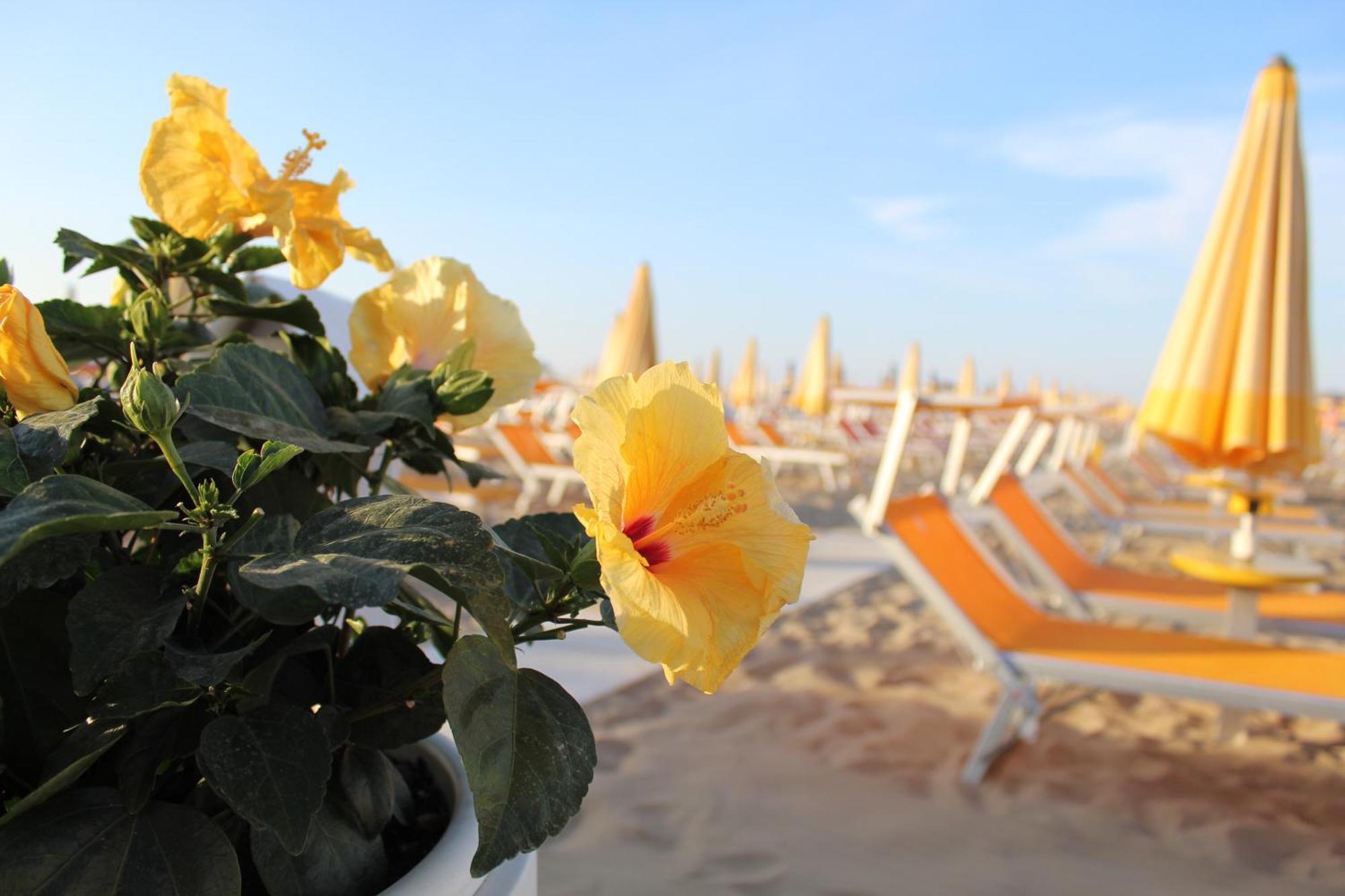 Hotel Villa Lieta Rimini Buitenkant foto